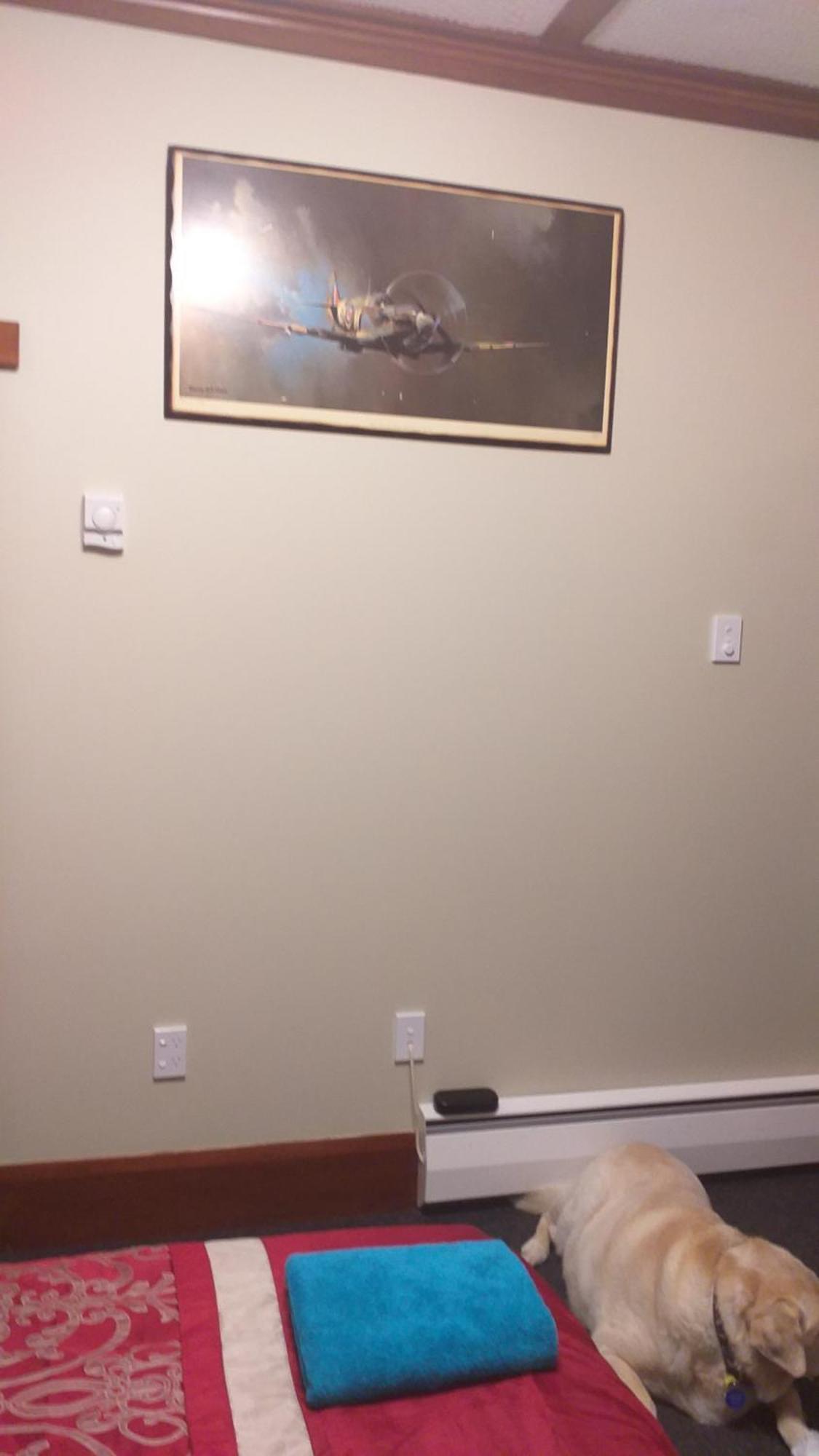 Ruan Thai Bed And Coffee Apartment Hamilton Room photo